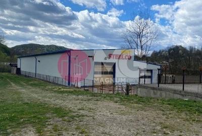 Fabrica de confectii metalice hala +teren Valcea - 2