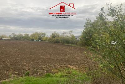 Casă cu 3 camere cu Teren 3895 Mp în Rândunica - 1