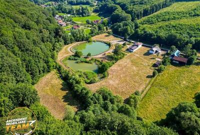 FILM! Teren extravilan pe 2.737mp,zona pretioasa,acces facil,Dobarlau,Covasna - 7