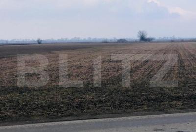 Teren extravilan de vanzare, 30.000 mp, cu potential de con - 2