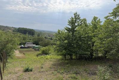 Teren de 4150 mp, în Biharia - 5
