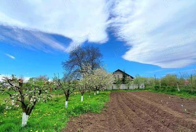 Vand casa la alb. - 3