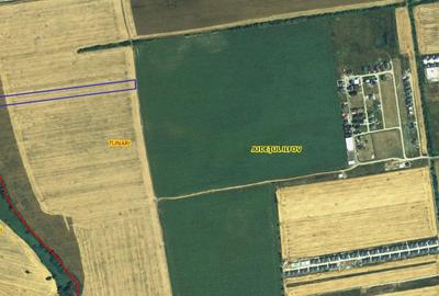 Teren Construcții intravilan de 15000 mp, în Tunari - 3
