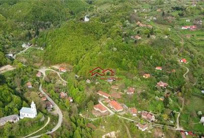 Teren Sacaramb,la20 km deDeva,jud.Hunedoara,comision0 - 2