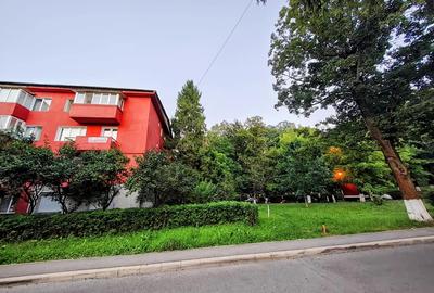 Vand apartament 3 camere in Hunedoara, zona Centrala, etaj 2. Pre? 63000 euro neg - 1