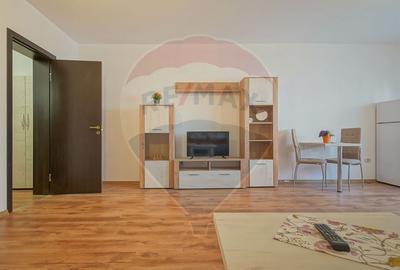 Garsoniera de inchiriat, Subcetate-Sanpetru - 3