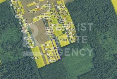 Teren agricol extravilan de 7777 mp, în Snagov - 1