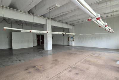 Spatiu Th. Pallady | Ozana | Depozitare-Productie 180mp - 10