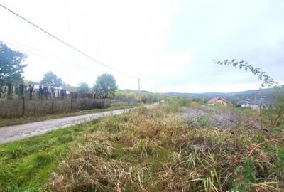 Teren de 1500 mp, în Bârnova - 5