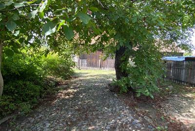 Casa de vanzare in Cincu - 2