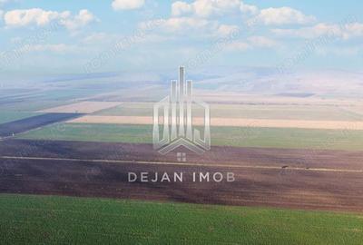 Teren de 5 mp, în Moacșa - 4