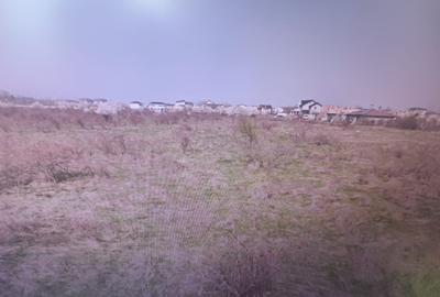 Teren Intravilan de vanzare-Strada Livezii-Sector 5 Bucuresti - 2