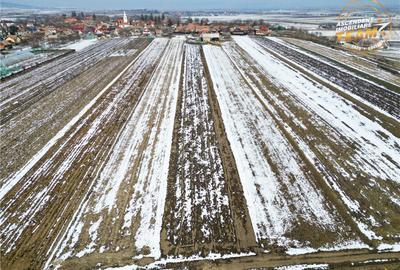 Teren de 6245 mp, în Dobolii de Jos - 3