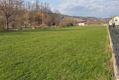 Spațiu comercial, în Alexandru cel Bun - 2