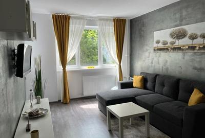Apartament cu 2 camere semidecomandat în Drumul Taberei