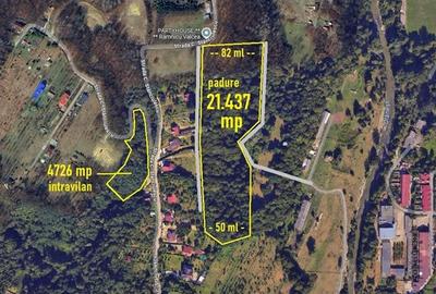 Teren Construcții intravilan de 4726 mp, în Morilor - 9