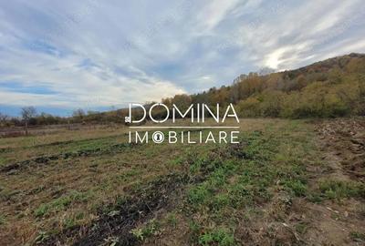 Teren de 4967 mp, în Bălești - 6