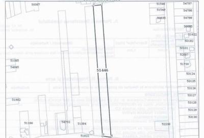 Teren de 5000 mp, în Coteana - 3