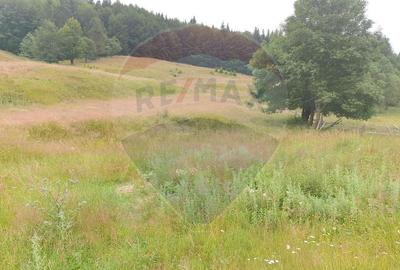 Teren 20000 mp, sat Dalghiu, com Vama Buzaului - 5