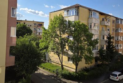 Apartament cu 2 camere semidecomandat în Lotrioara - 14