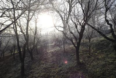 Casă cu Teren 1900 Mp în Pocruia - 3