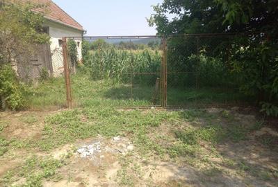 Casă cu 3 camere cu Teren 3956 Mp în Chelmac - 2