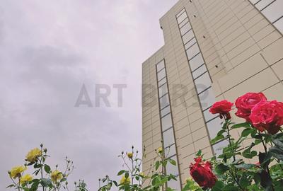 Zero comision, 190mp birou, 2 parcari incluse, Grozavesti, 5' metrou - 1