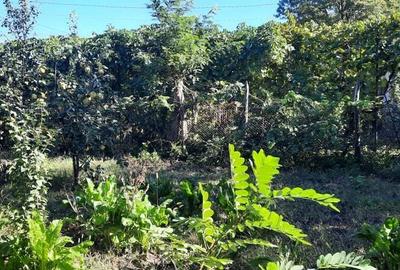 Casa de vanzare Casa de vanzare - 5