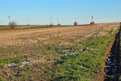 Teren agricol extravilan de 3190 mp, în Central - 4