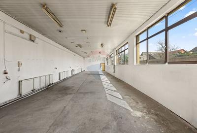 Spațiu industrial, de 150 mp, în Aradul Nou - 2