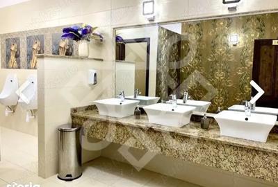 Spațiu comercial, de 2,900 mp, în Băile Felix - 1