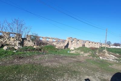 Teren Construcții intravilan de 2900 mp, în Mircea Vodă - 2