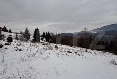 Teren de 10746 mp, în Fundu Moldovei - 4