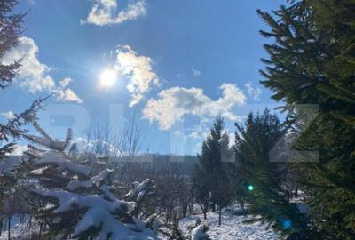 Teren intravila de vanzare, 1.100 mp, in Bistri?a, pe str - 11