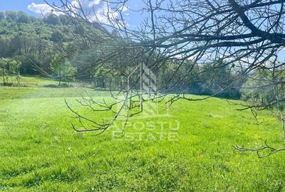 Teren intravilan, partial imprejmuit, eligibil grant- Poj... - 5