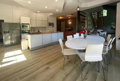 Vila unica pe malul lacului Scrovistea - 3