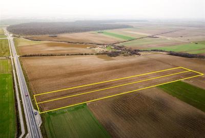 Teren intravilan de 11200 mp, în Nojorid