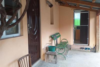 Casă cu 3 camere cu Teren 10000 Mp în Gherteniș - 11