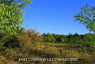 BUDESTI, TEREN 1000 MP, PRIVELISTE MINUNATA - 4