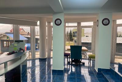 VIGAFON - Hala frigorifica-spatiu depozitare Boldesti-Scaeni - 14