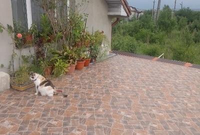Duplex cu 4 camere cu Canalizare în Exterior Sud - 3