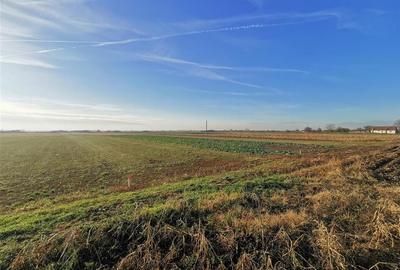 Teren intravilan in Bors cu front la 2 strazi. - 3