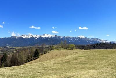 Teren Construcții extravilan de 1550 mp, în Moieciu - 6