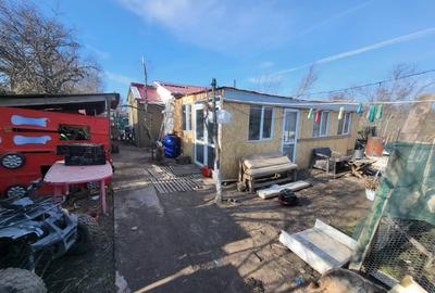 Casă cu 3 camere în Letca Nouă - 1