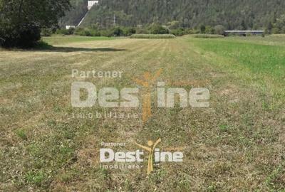 Teren Construcții intravilan de 4488 mp, în Pângărați - 1