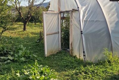 Casă cu 3 camere în Ludoș - 4