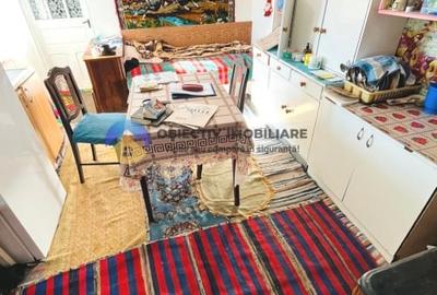 Casa traditionala cu teren de vanzare – Comuna Ștefan cel Mare - 6