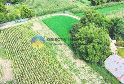 TEREN intravilan GIROV  4133 mp - 11