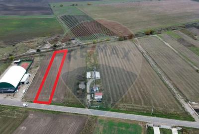 Teren 1,800mp Mircestii Vechi / DJ 204E - 1