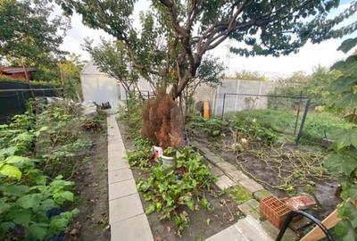 Casa individuala, 120 mp utili, 571mp teren, zona Sagului - 10